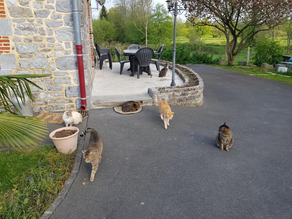 Duplex Swimming Cats Hotel Saint-Hilaire-sur-Helpe Luaran gambar