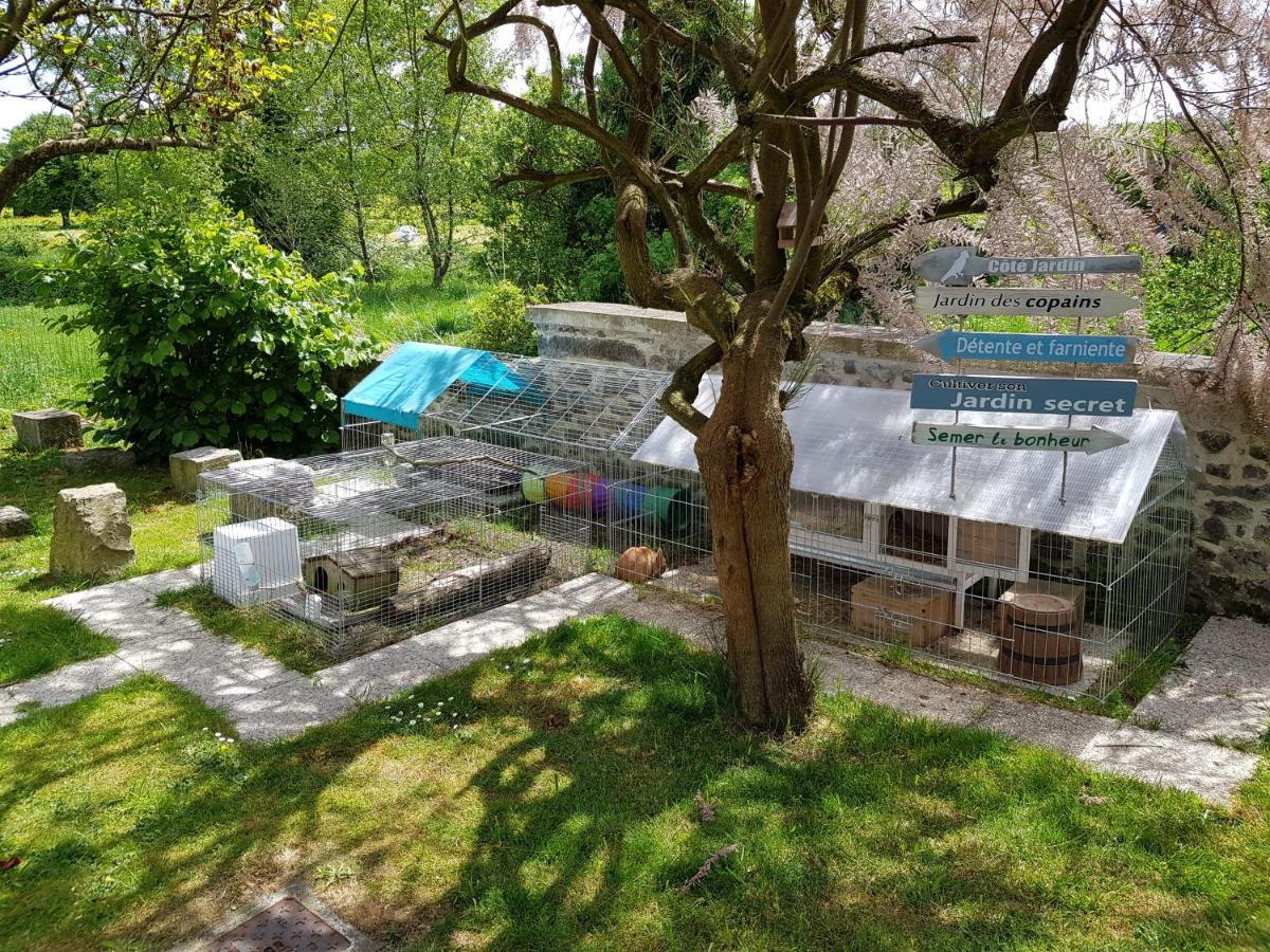 Duplex Swimming Cats Hotel Saint-Hilaire-sur-Helpe Luaran gambar