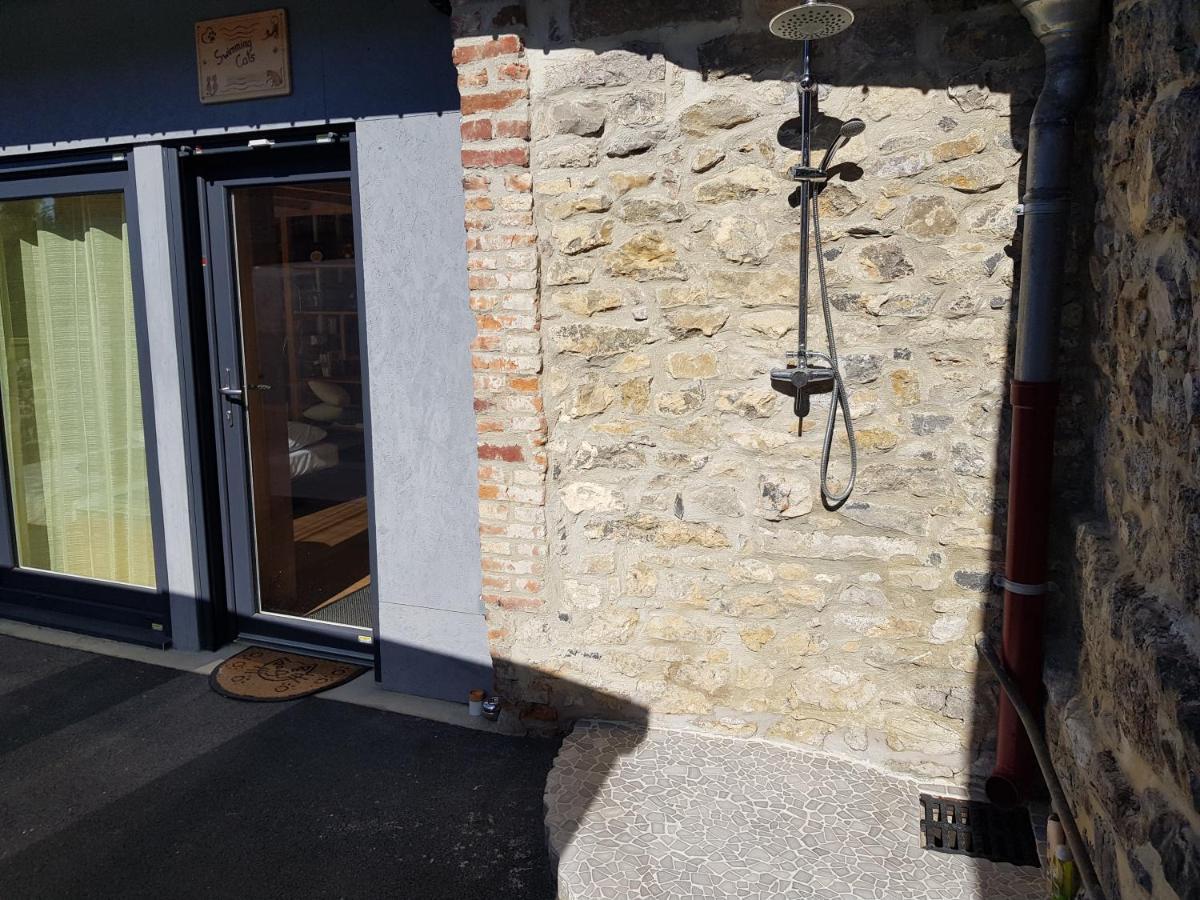 Duplex Swimming Cats Hotel Saint-Hilaire-sur-Helpe Luaran gambar